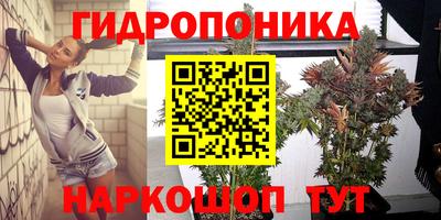 PSILOCYBIN Первоуральск